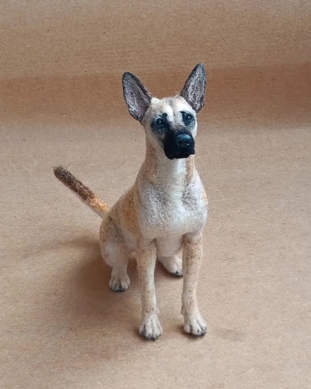Mini Pet Eterno | Uma lembrança que vive para sempre