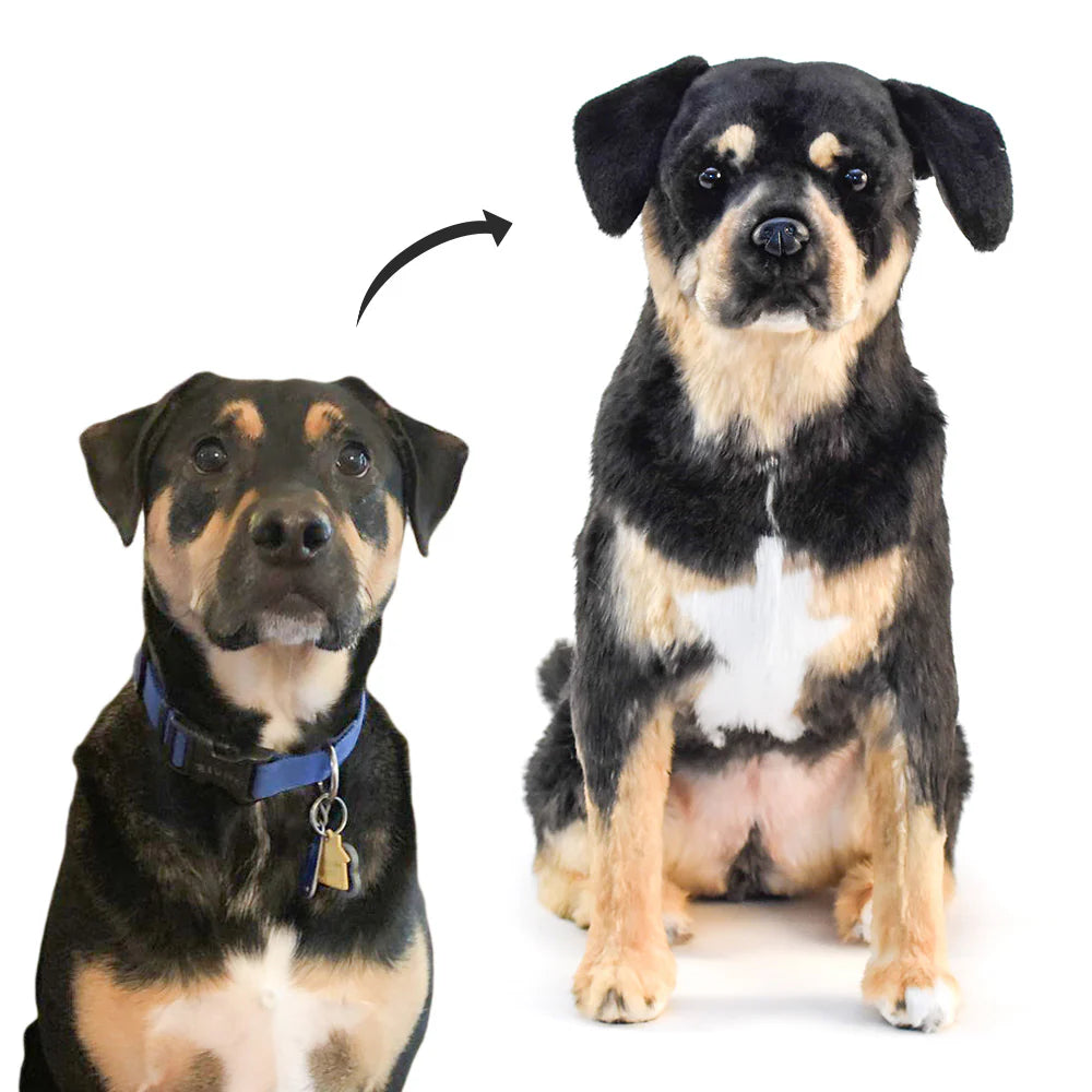 Pelos & Pano Personalizados | Seu Pet em Forma de Pelúcia
