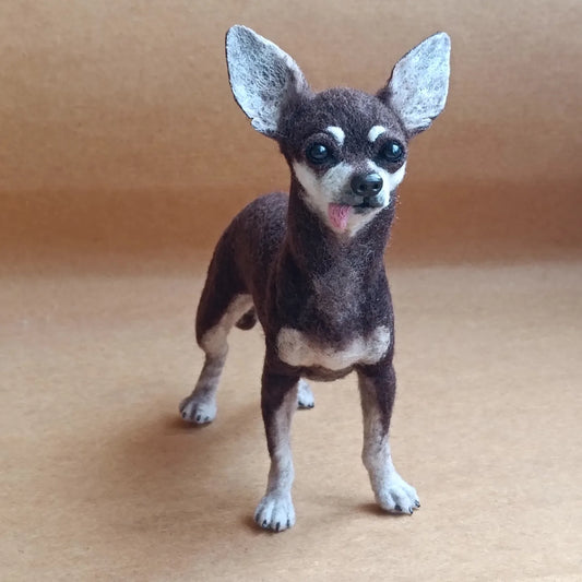 Mini Pet Eterno | Uma lembrança que vive para sempre